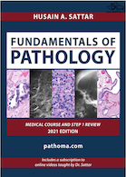 Fundamentals of Pathology 2021 | مبانی آسیب شناسی پاتوما